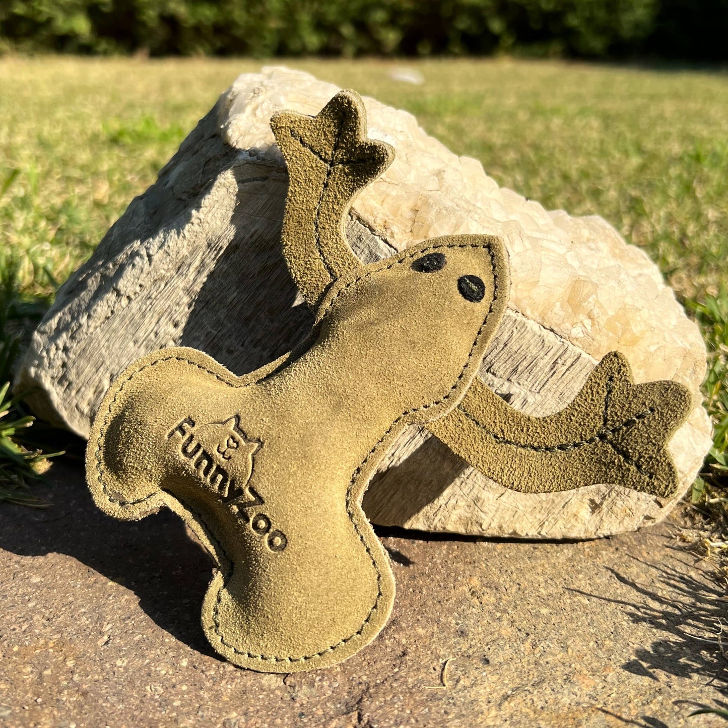 RANOCCHIO IN CAMOSCIO Gioco naturale per cani