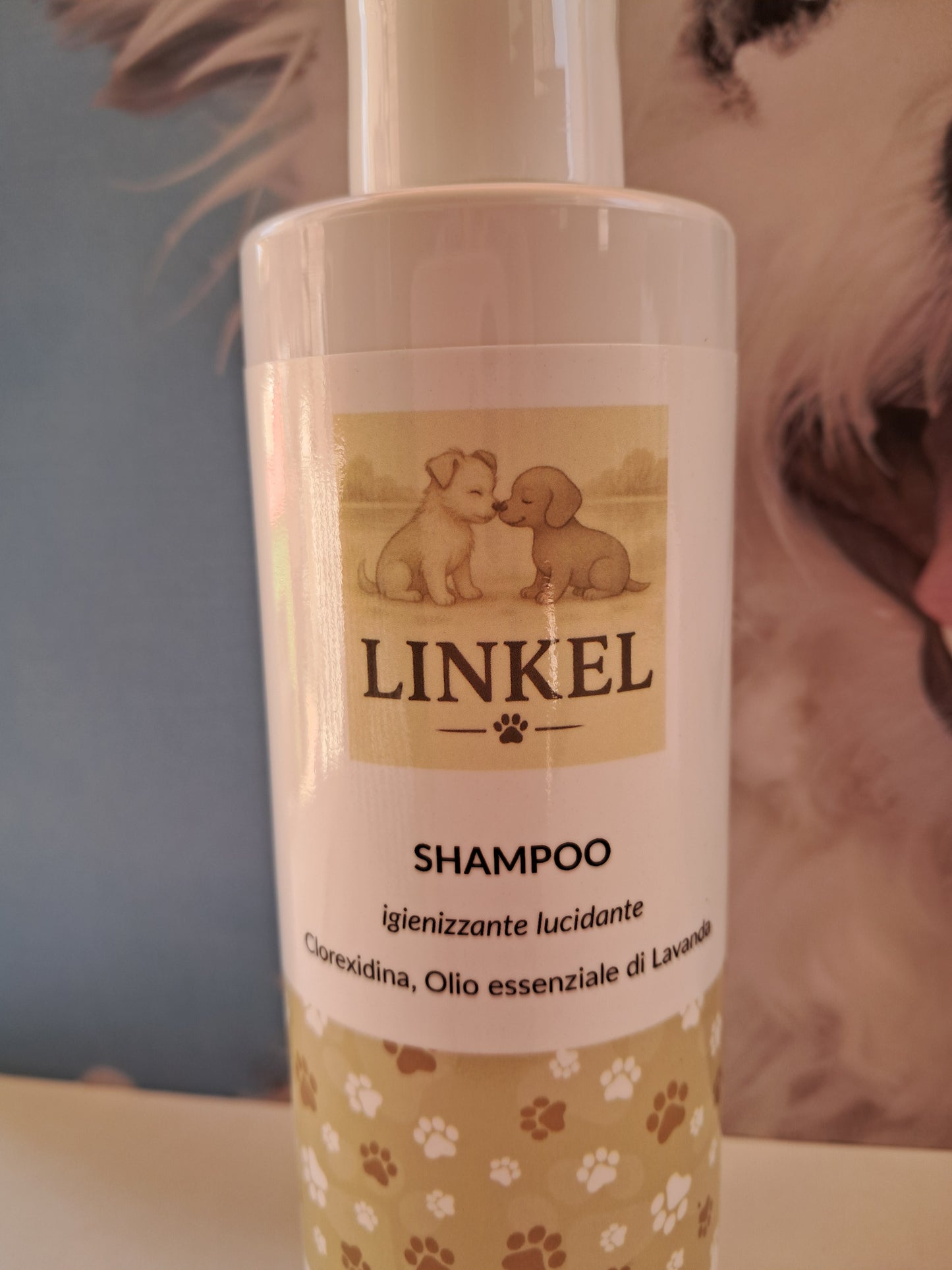 SHAMPOO CLOREXIDINA