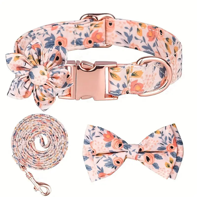 SET 4 PEZZI COLLARE E GUINZAGLIO