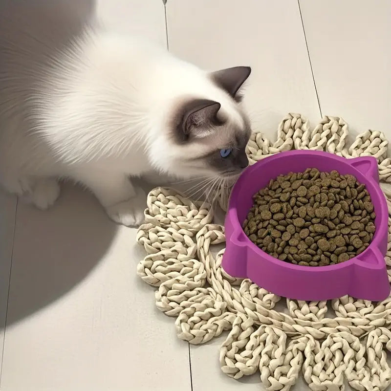 CIOTOLA GATTO