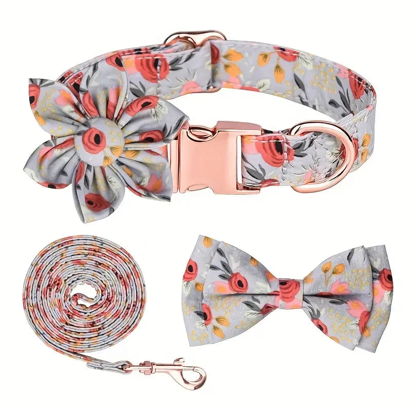 SET 4 PEZZI COLLARE E GUINZAGLIO