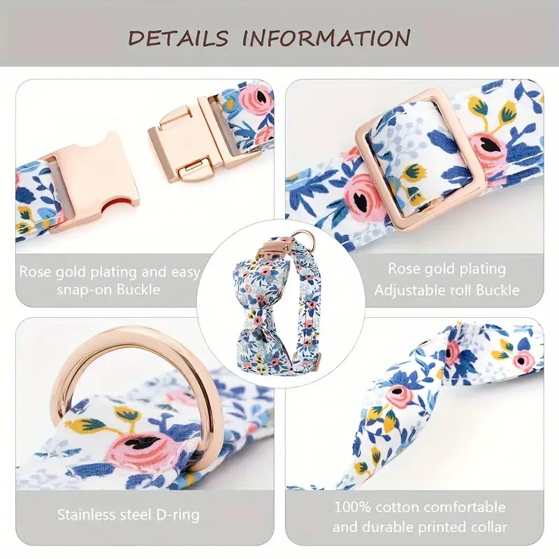 SET 4 PEZZI COLLARE E GUINZAGLIO