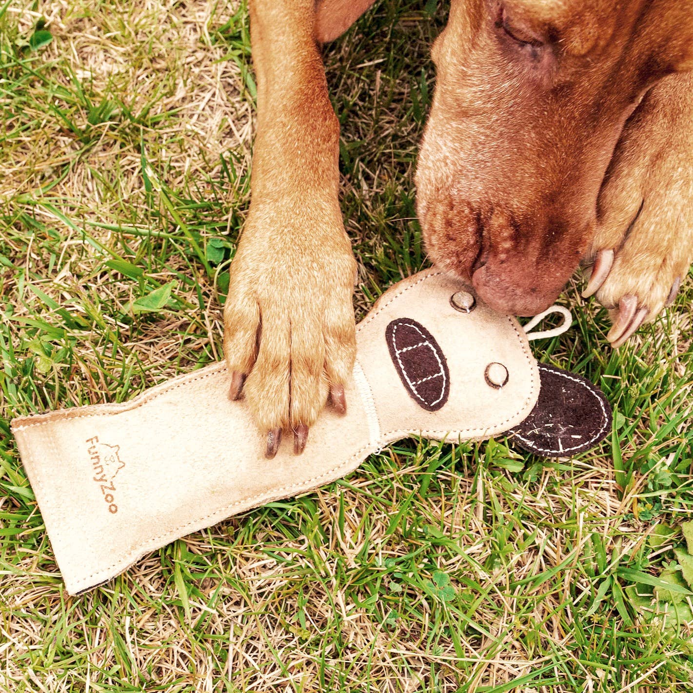 Gioco per cani in camoscio con bottiglietta all'interno