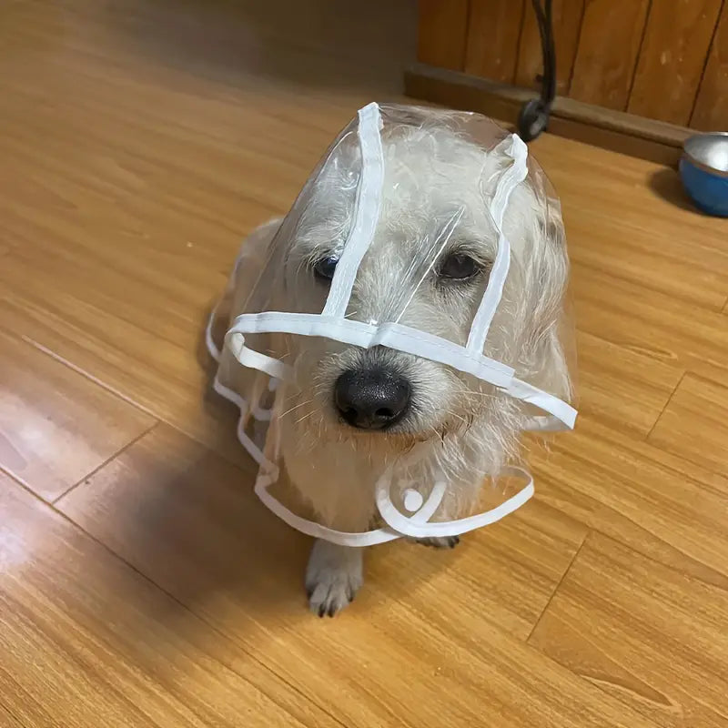 IMPERMEABILE TRASPARENTE CANI