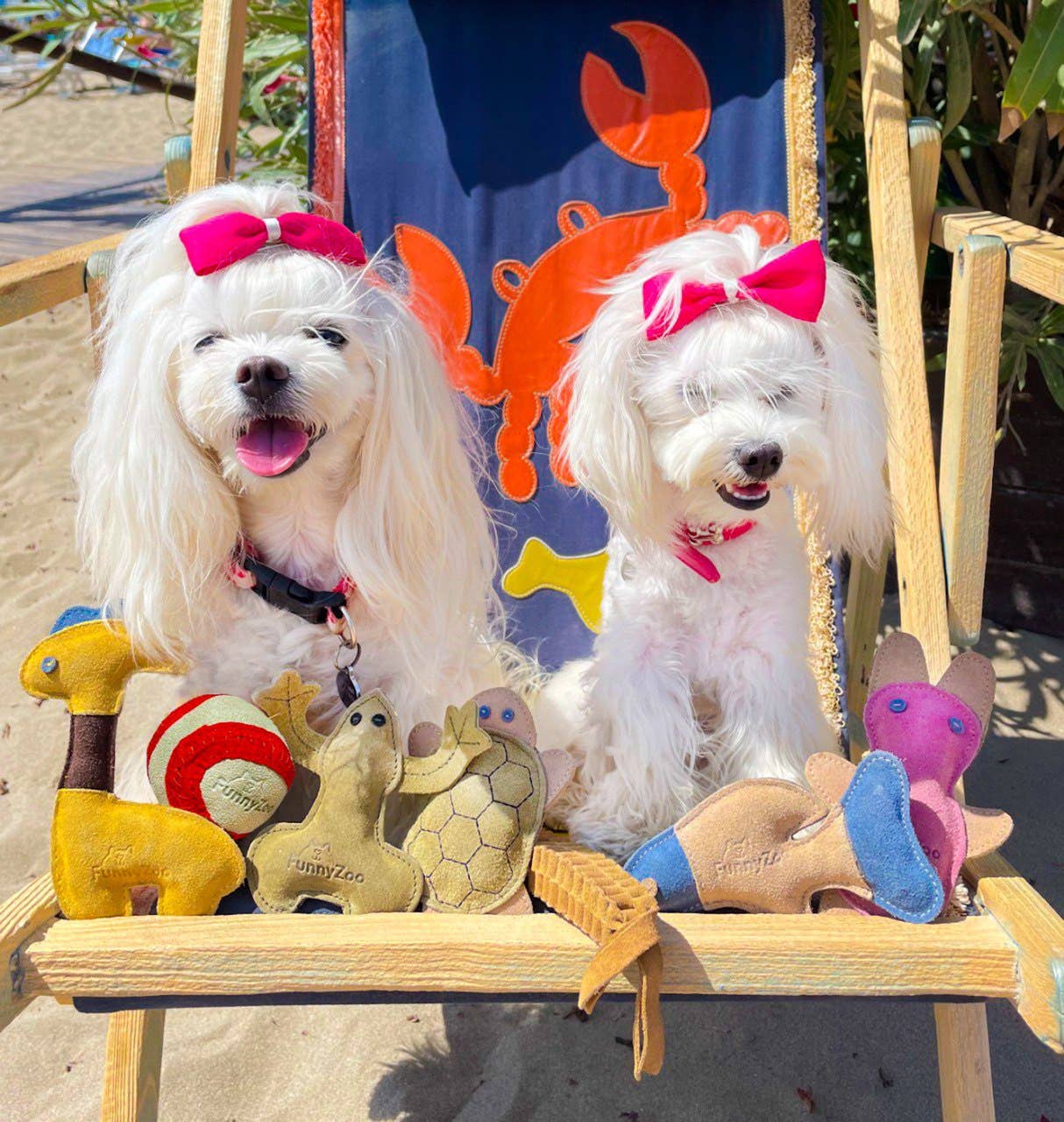 PALLINA IN CAMOSCIO Gioco naturale per cani