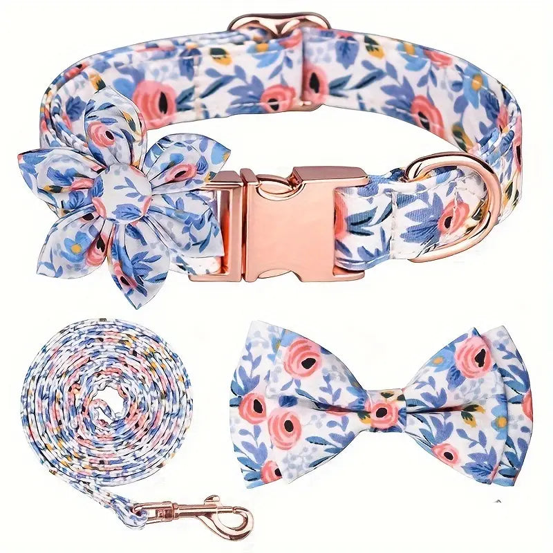 SET 4 PEZZI COLLARE E GUINZAGLIO