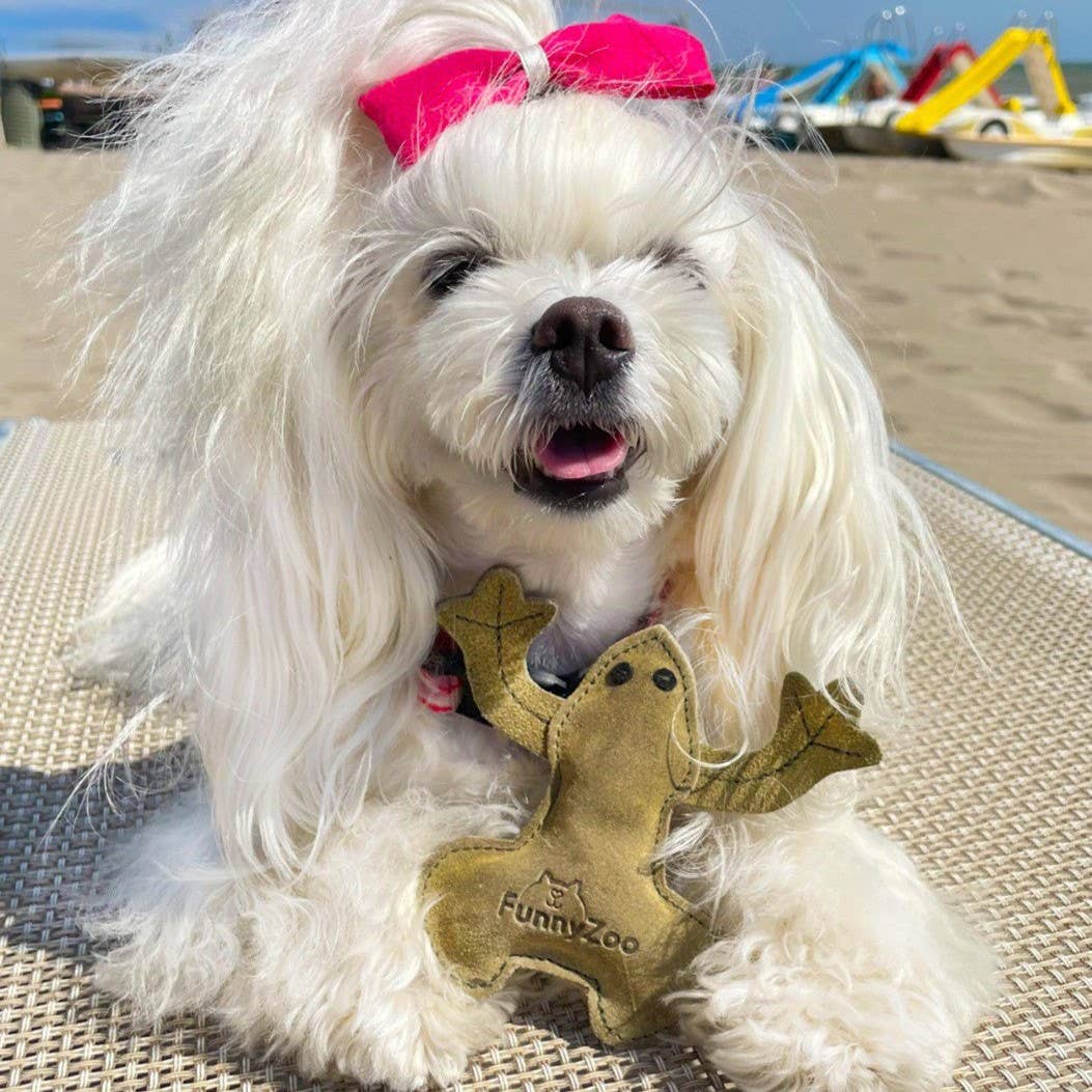RANOCCHIO IN CAMOSCIO Gioco naturale per cani