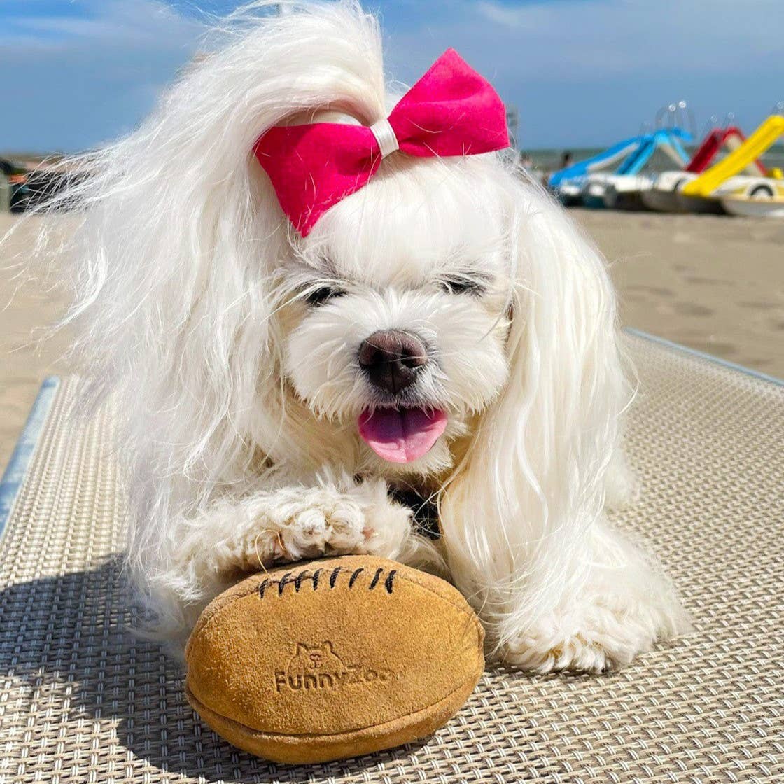 Gioco naturale per cani COCCO BALL Gioco naturale per cani