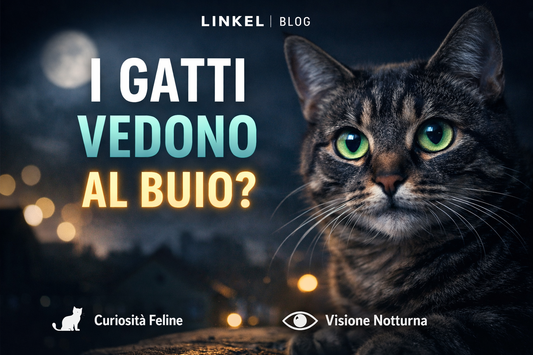 I gatti vedono al buio?