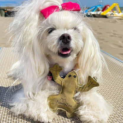 RANOCCHIO IN CAMOSCIO Gioco naturale per cani