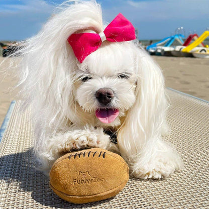 Gioco naturale per cani COCCO BALL Gioco naturale per cani